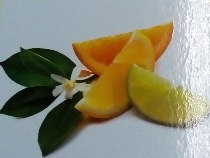Ламинированное изображение долек апельсина
